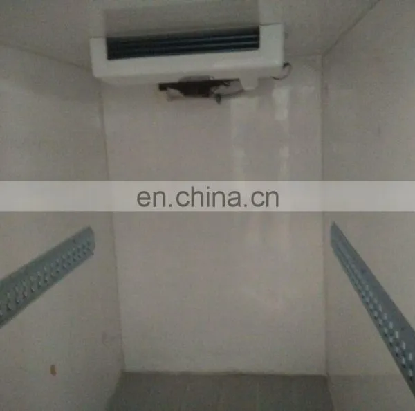 Small Refrigerated Truck Box Body photo-3
