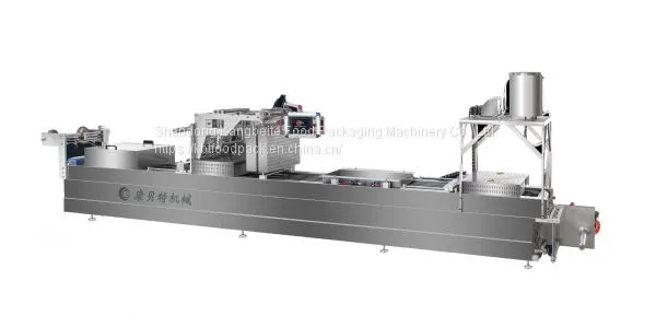 Thermoforming Packing Machine DRZ420 Automatic Packaging Machine for Food photo-2