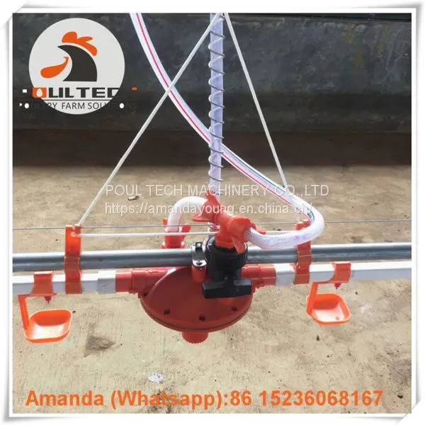 Salvador Poultry Farming Equipment Broiler Floor Raising System & Chicken Deep Litter System With Automatic Drinking& Feeding System in Chicken Coop photo-3