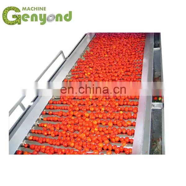 High Quality Fruit Jam Production Line In Shanghai photo-4