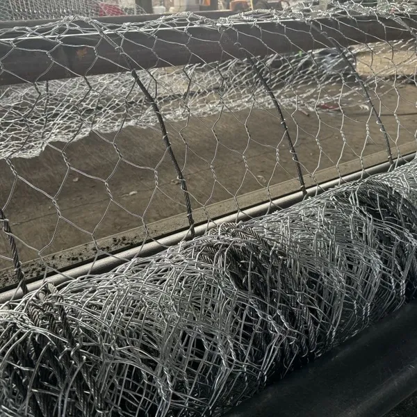 Wholesale PVC Coating HR Netting System Double Torsion Mesh Rockfall Protection Netting for Rockfall photo-5