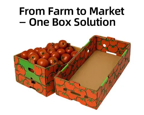 Wax Coated Corrugated Carton for Lobster Crab Shrimp Seafood Cold Chain Transport and Export Packaging photo-4