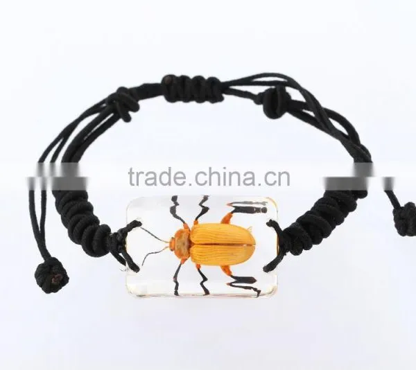 Latest Hippie Bracelet Beads as Promotion Gifts With Real Insect photo-5