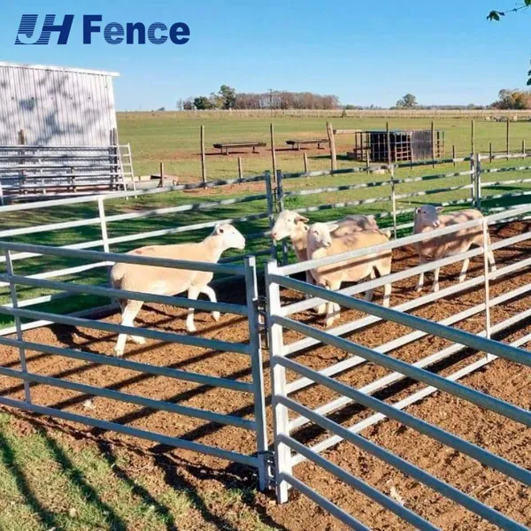 Easy-Clean Solid Sheep Panel: Non-Porous, Sanitary Surface Allows for Simple Disinfection & Pressure Washing