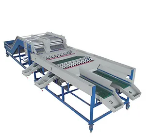 Orang Sorter Machine/ Mandarin Orange Sorting Machine/ Apple Grading Machine photo-2