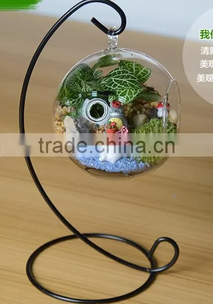 Glass Terrarium Elegant Glass Vase Nice for Home Decorations