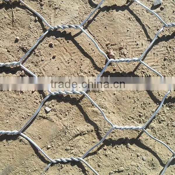 Hot Dipped Galvanzied Hexagonal Wire Mesh photo-4