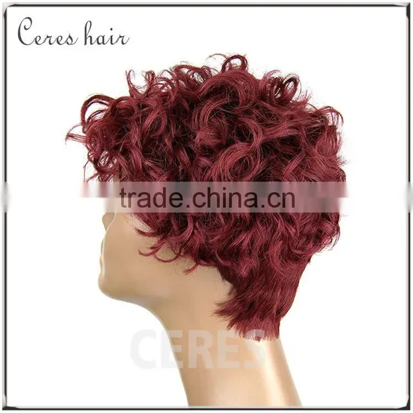 Short Cosplay Wig Lace Wig Human Hair for Christmas or Halloween Party Wig photo-5