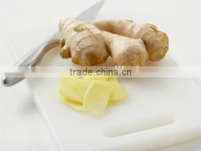 2015 New Crop of Fresh Ginger , Professional Suppliers photo-5