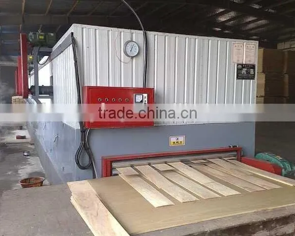 Veneer Dryer
