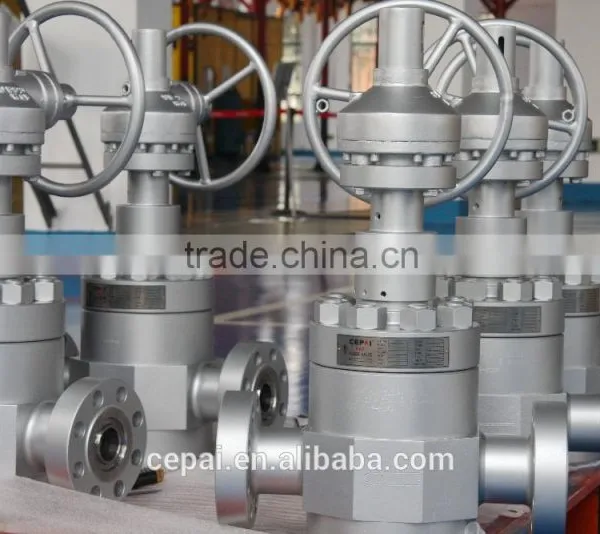 Globe Valve/API6A Globe Valve/Forged Gate Valve/Cameron Valve photo-3