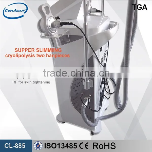 Professional Beauty Machine Criotherapy Weight Loss Machine Popular in the World photo-4