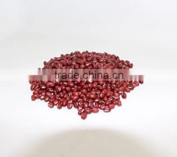 Adzuki Bean photo-4