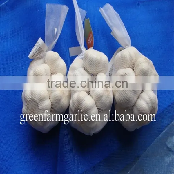 2017 Fresh Pure White Garlic photo-4