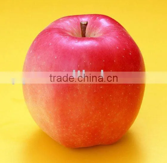 Fuji Apple