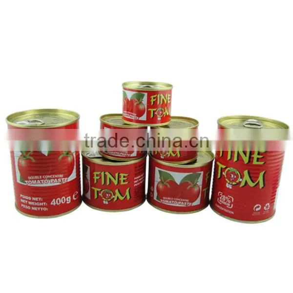 Tomato Paste With Red Color photo-6