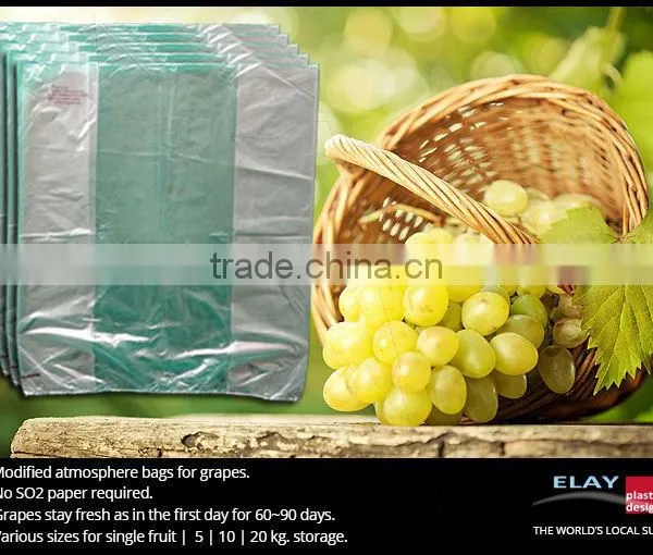 Pomegranate Protecting Bags photo-3