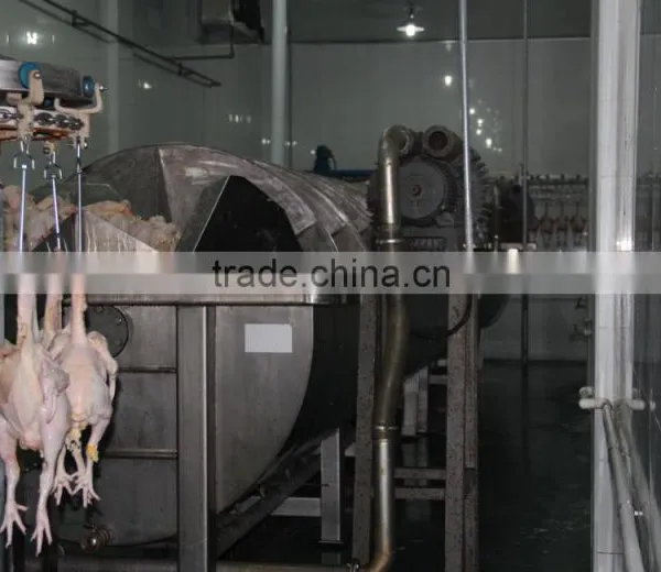 Chicken Abattoir House Slaughter Equipment
