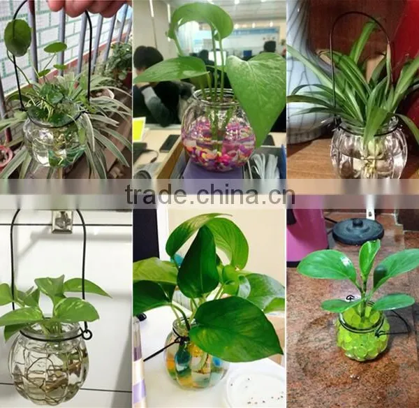 Hang Transparent Glass Vase/Other Copper Grass Plants Hang Bottle Hydroponic Flower Pot photo-5