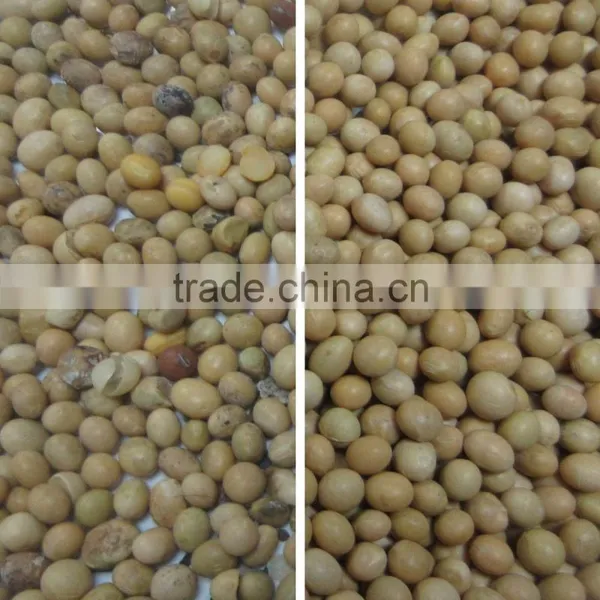 2017 New Products Soybean Color Sorter Machine photo-2