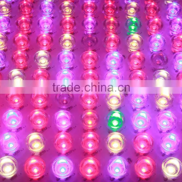 300w/600w/1000w Double Chips LED Grow Light Full Specturm for Greenhouse and Indoor Plant Flowering Growing (5w Leds) photo-5