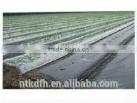 Agriculture Cover pp Spunbond Non Woven photo-6