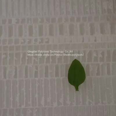 PP Honeycomb Act as Enforced Strength Material in Transportation Field photo-3