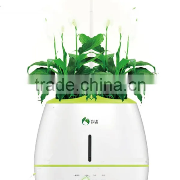 Anion Smart Home Air Purifier Air Humidifier photo-5