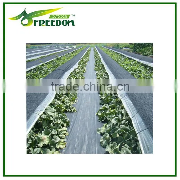 Agricultural Plastic Weed Control Mat / Ground Cover Net photo-3