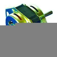 Electric Motor