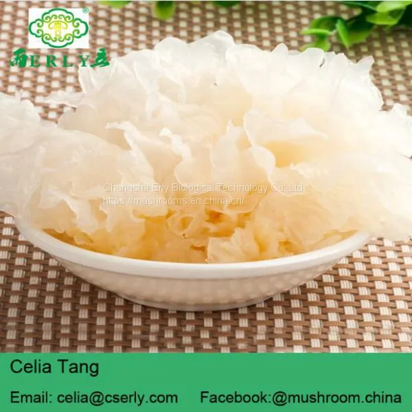 2018 Chinese Wholesale Price Organic Edible Tremella Mushroom