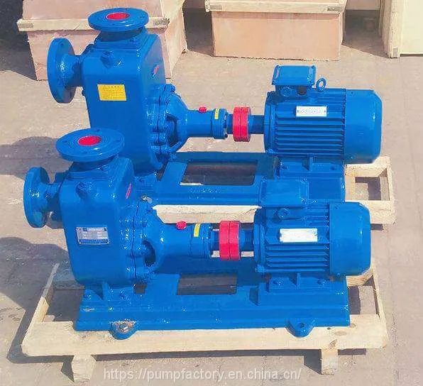 Professional Self-priming Sewage Water Pump photo-2