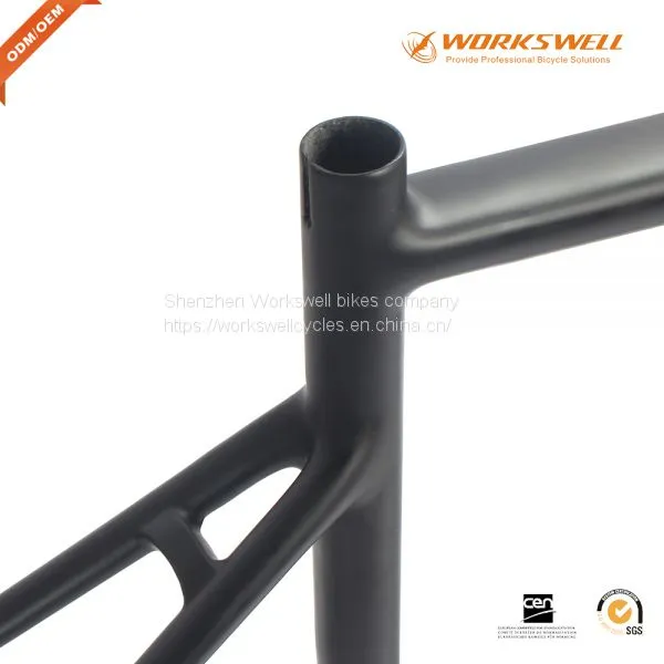 Road Custom Titanium Racking Bike Frame With Sliding photo-4