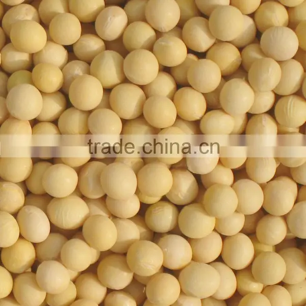 MON-GMO Soybeans photo-2