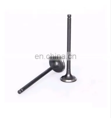 HIGH QUALITY AUTO PARTS Engine Valve for Hilux 2L 5L LN167 SCB IV3 OEM 13715-54050 photo-3