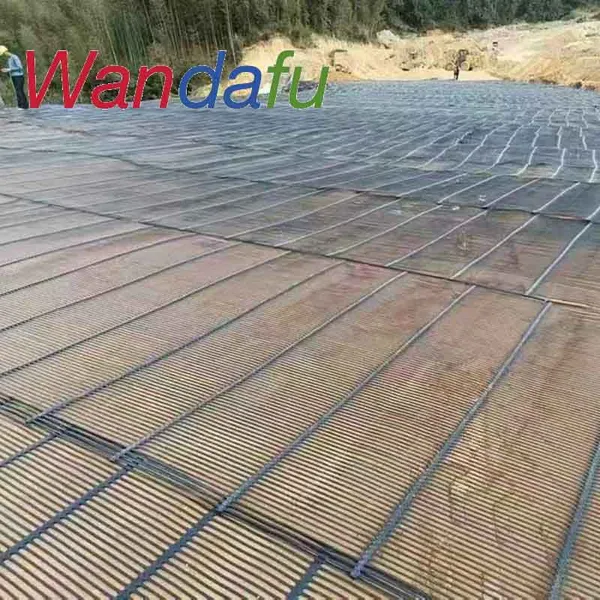 Wandafu Unidirectional Plastic/Uniaxial Geogrid for Retaining Wall Deck and Steep Slope Highway Railway photo-5
