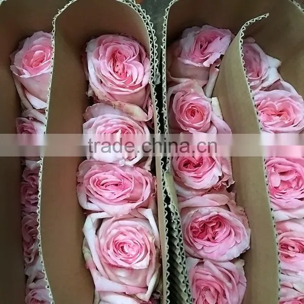 Fashionable Classical Stylish Pink Artificial Flowers Rose photo-2