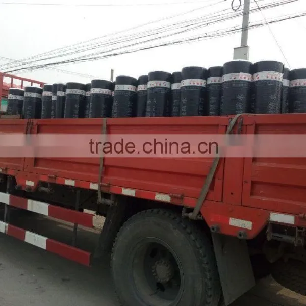 Hdpe Waterproof Membrane Pvc Waterproof Membrane photo-5