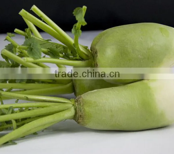 Onion and Pepper Cutting Machine|Ginger and Banana Slicing Machine photo-4
