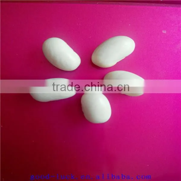 White Kidney Beans(2014 Crop) photo-2