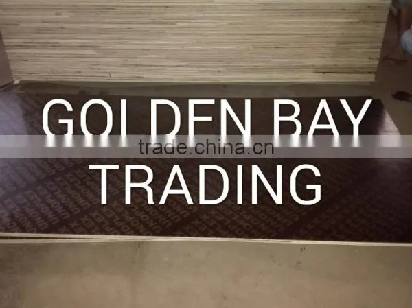 Marine Plywood/shuttering Plywood/Film Faced Plywood DANUBE CNBM CPLEX photo-3