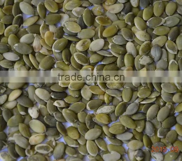 Hot Selling Shine Skin Pumpkin Seeds Where to Buy From Supplier photo-2