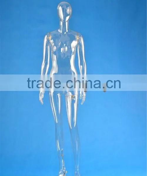 Full Body Transparent Mannequin photo-2