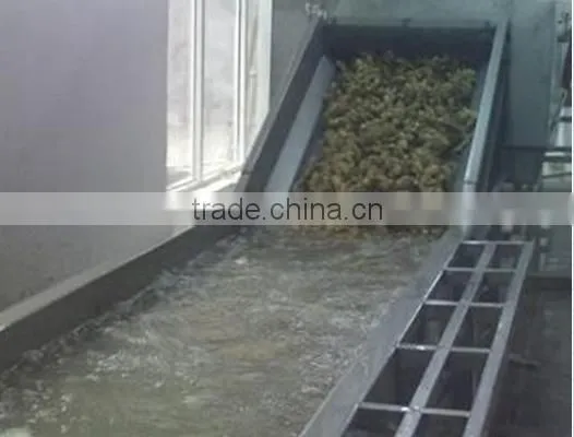 MXJ Hair Brush Fruit Cleaner for Jam Production Line photo-3