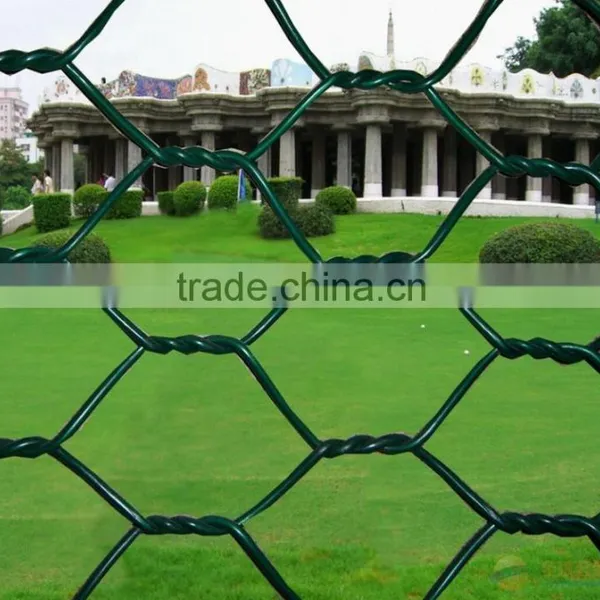 Galvanized Hexagonal Wire Netting photo-6