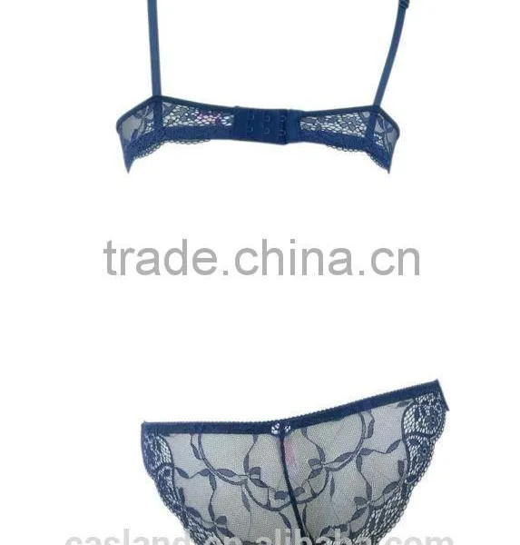 New Arrvial Sexy Bra and Panty With Lace(FPY319) Quality Choice photo-3