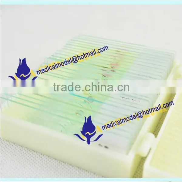 Microslide Microscope Glass Slide photo-2