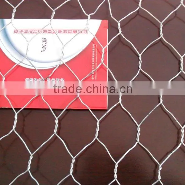 Pvc Hexagonal Green Plastic Wire Netting photo-2