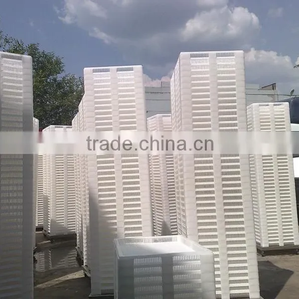 Plastic Drying Trays And Stainless Trolley photo-2
