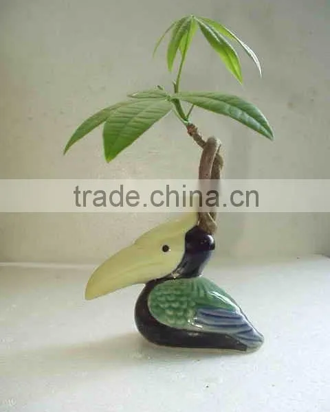 Office Mini Ornamental Plants Indoor Chinese Pot Decorative Pachira